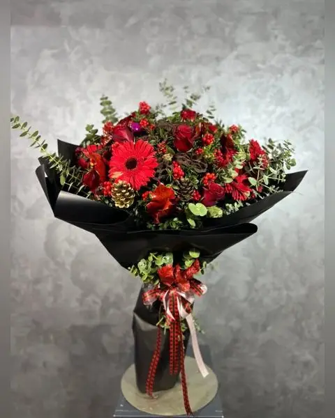 Kokinalı Kırmızı Gerbera